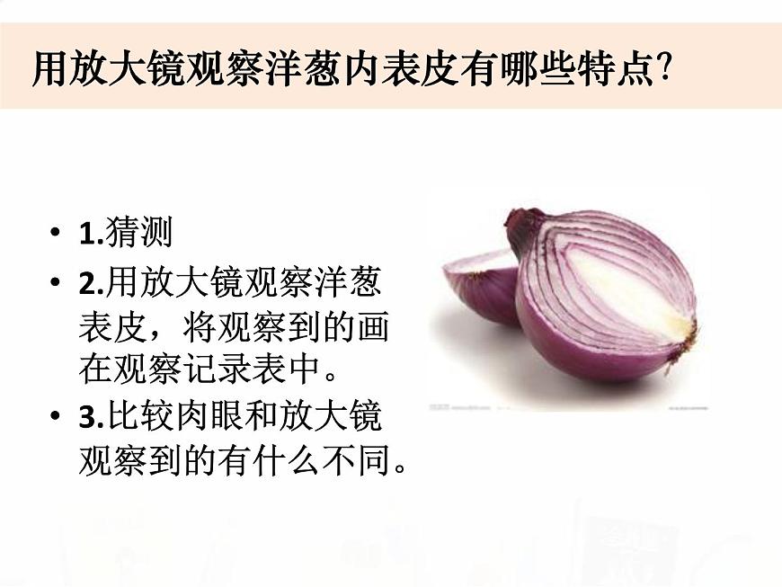教科版小學(xué)科學(xué)六下1-5《用顯微鏡觀察身邊的生命世界（一）》教學(xué)課件第3頁