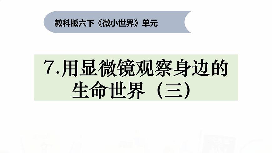 教科版小學(xué)科學(xué)六下 1-7《用顯微鏡觀察身邊的生命世界（三）》教學(xué)課件第1頁