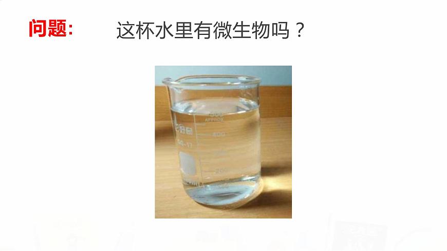 教科版小學(xué)科學(xué)六下 1-7《用顯微鏡觀察身邊的生命世界（三）》教學(xué)課件第3頁