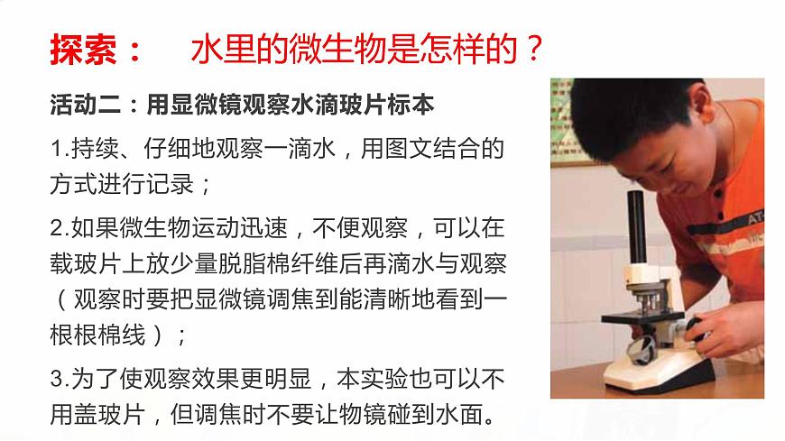 教科版小學(xué)科學(xué)六下 1-7《用顯微鏡觀察身邊的生命世界（三）》教學(xué)課件第5頁