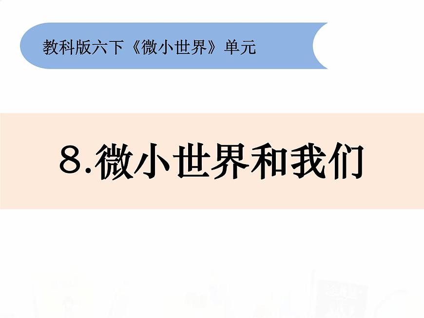 教科版小學科學六下1-8《微小世界和我們》教學課件第1頁