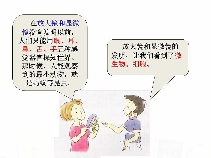 教科版小學科學六下1-8《微小世界和我們》教學課件第4頁