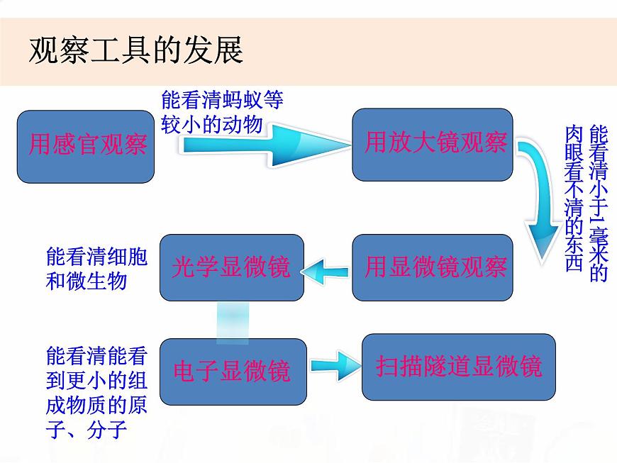 教科版小學科學六下1-8《微小世界和我們》教學課件第6頁