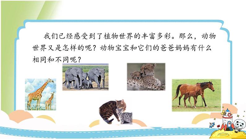 2.4《多种多样的动物》教学课件 教科版小学科学六下05
