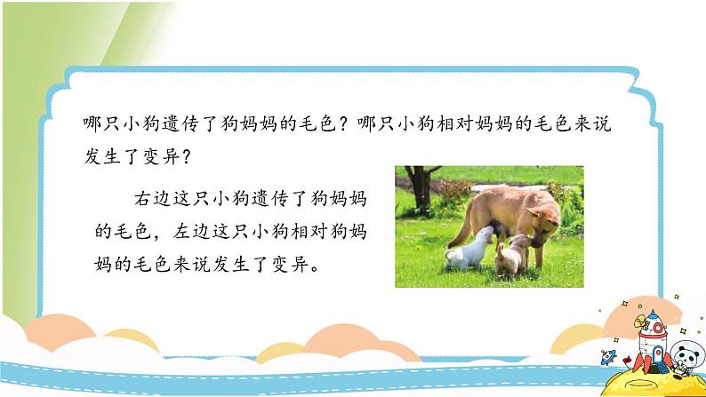2.4《多种多样的动物》教学课件 教科版小学科学六下08