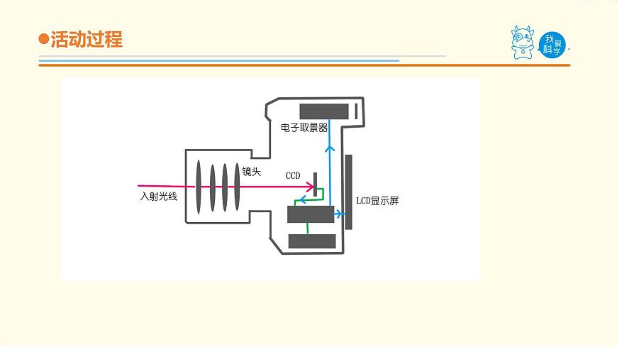 6.《照相機(jī)和眼睛》課件 青島版(六三制)小學(xué)科學(xué)五下第6頁