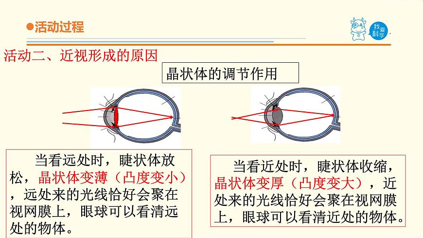 7.《保護(hù)眼睛》課件 青島版(六三制)小學(xué)科學(xué)五下第5頁