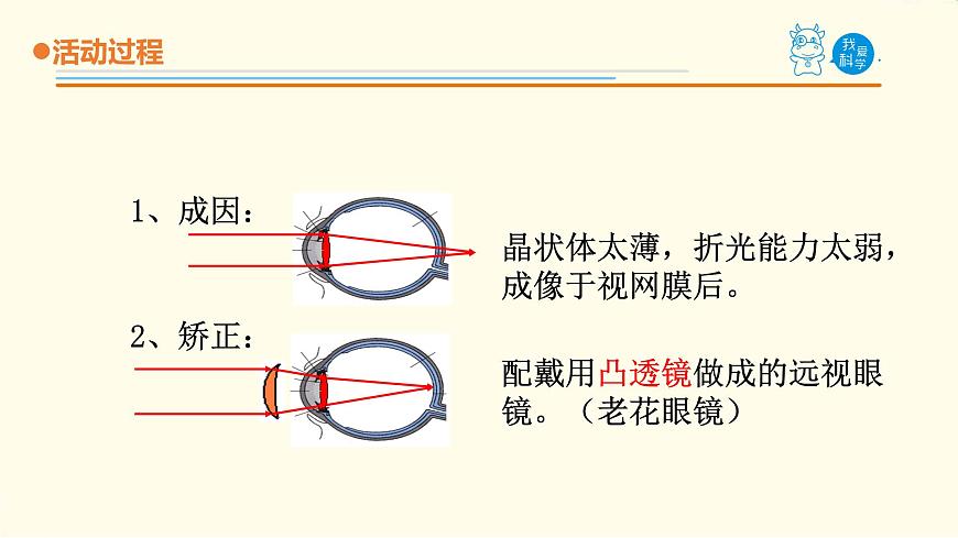 7.《保護(hù)眼睛》課件 青島版(六三制)小學(xué)科學(xué)五下第8頁