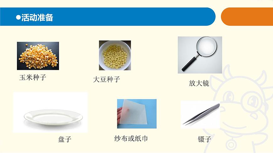 10.《種子發(fā)芽了》課件 青島版(六三制)小學(xué)科學(xué)五下第2頁