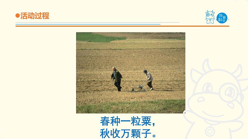 10.《種子發(fā)芽了》課件 青島版(六三制)小學(xué)科學(xué)五下第3頁