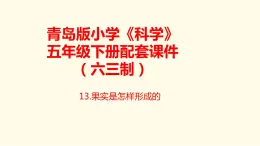 13《果实是怎样形成的》课件 青岛版(六三制)小学科学五下