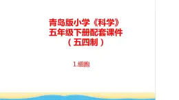 1.《细胞》教学课件 青岛版(五四制)小学科学五下