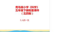 小学科学青岛版 (五四制)五年级下册3 人的一生完整版教学ppt课件