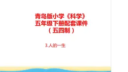 3.《人的一生》教学课件 青岛版(五四制)小学科学五下