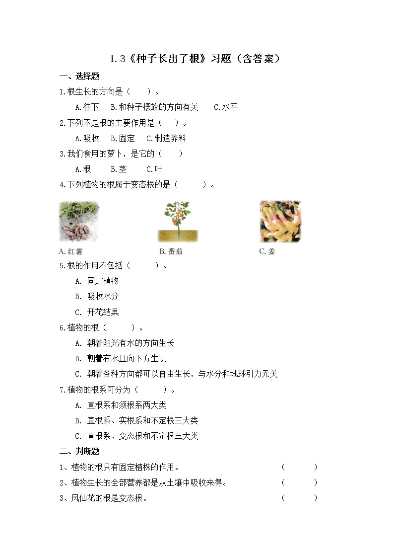 1.3 種子長出了根（習(xí)題）-四年級下冊教科版(2017)第1頁