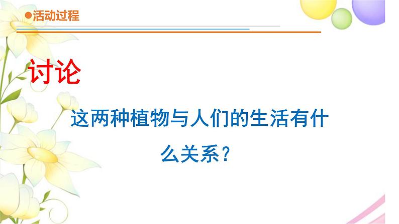 14.《调查家乡植物》课件 青岛版(六三制)小学科学四下06