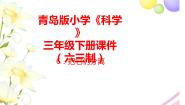 青岛版 (六三制2017)三年级下册第二单元 混合与分离6 把它们分离精品课件ppt