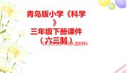 小学科学青岛版 (六三制2017)三年级下册10 天然材料和人造材料优秀课件ppt
