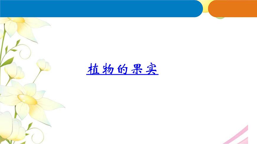 12.《植物的果實》課件 青島版(六三制)小學科學三下第3頁
