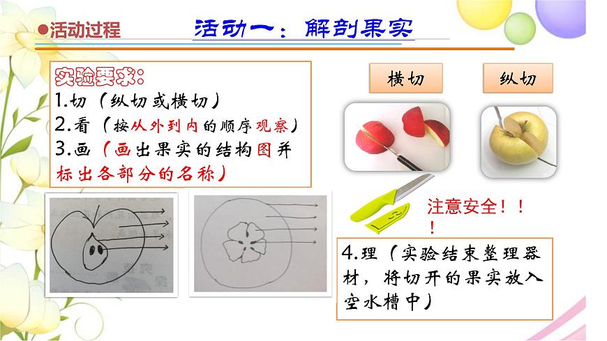 12.《植物的果實》課件 青島版(六三制)小學科學三下第5頁