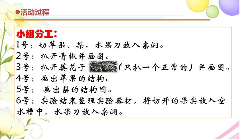 12.《植物的果實》課件 青島版(六三制)小學科學三下第6頁