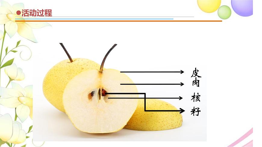 12.《植物的果實》課件 青島版(六三制)小學科學三下第8頁