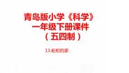 青岛版 (五四制2017)一年级下册13 蚯蚓的家完美版ppt课件