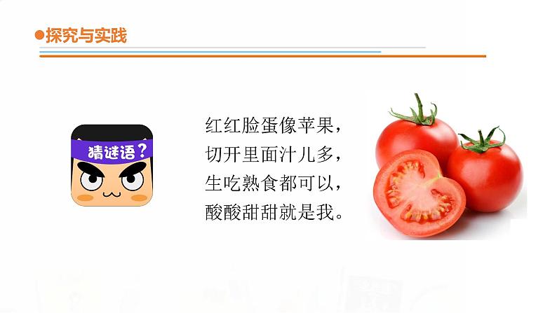 15.《番茄与番茄酱》课件 青岛版(五四制)小学科学一下第4页