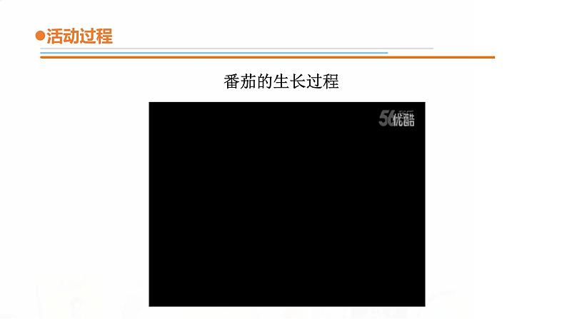 15.《番茄与番茄酱》课件 青岛版(五四制)小学科学一下第5页