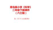小学青岛版 (六三制2017)9 天气与动植物优秀ppt课件