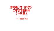 2021学年第四单元 动物感知环境12 动物的耳朵评优课课件ppt