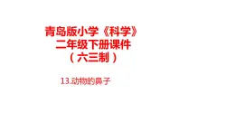 13.《动物的鼻子》课件 青岛版(六三制)小学科学二下