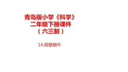 14.《观察蜗牛》课件 青岛版(六三制)小学科学二下