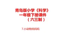 7.《小动物找妈妈》课件 青岛版(六三制)小学科学一下