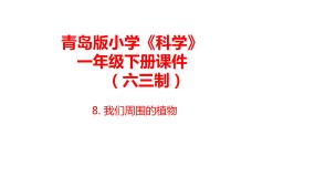 青岛版 (六三制2017)一年级下册8 我们周围的植物教课内容课件ppt