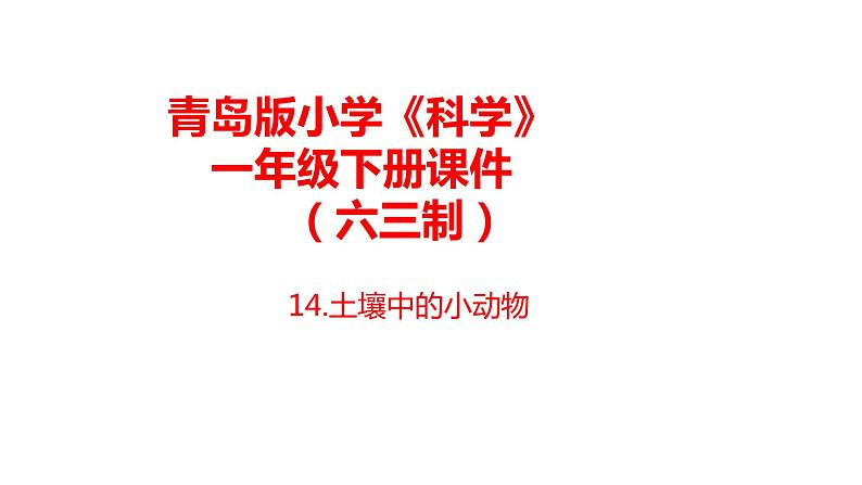 14.《土壤中的小动物》课件 青岛版(六三制)小学科学一下第1页