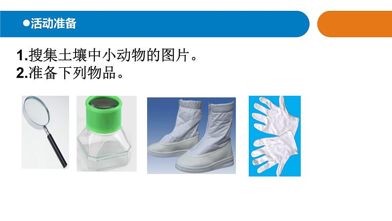 14.《土壤中的小动物》课件 青岛版(六三制)小学科学一下第2页