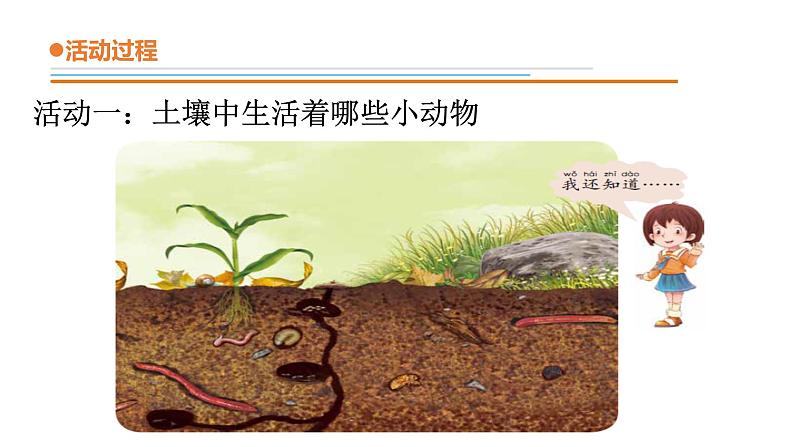 14.《土壤中的小动物》课件 青岛版(六三制)小学科学一下第7页