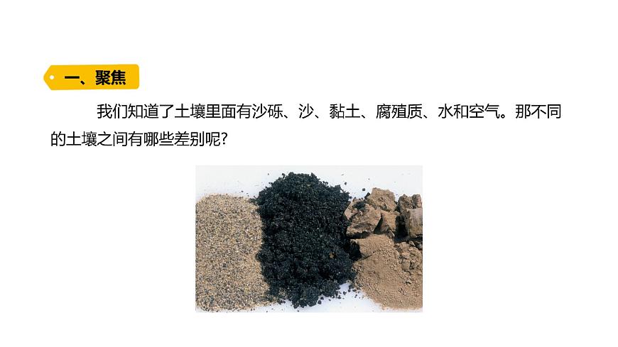 4下3-7 《比較不同的土壤》課件PPT第2頁