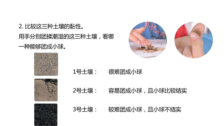 4下3-7 《比較不同的土壤》課件PPT第5頁