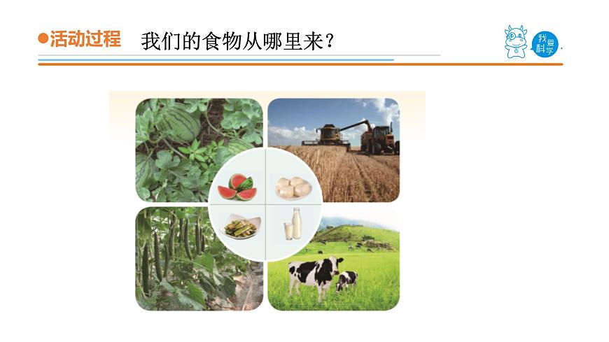 12.《我們的食物》教學課件第6頁