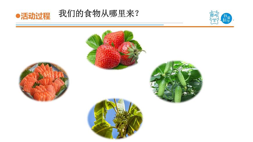 12.《我們的食物》教學課件第7頁