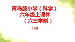 2.《细菌》课件 青岛版(六三制)小学科学六上