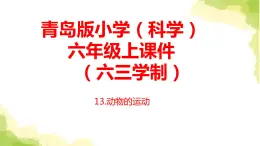 13.《动物的运动》课件 青岛版(六三制)小学科学六上