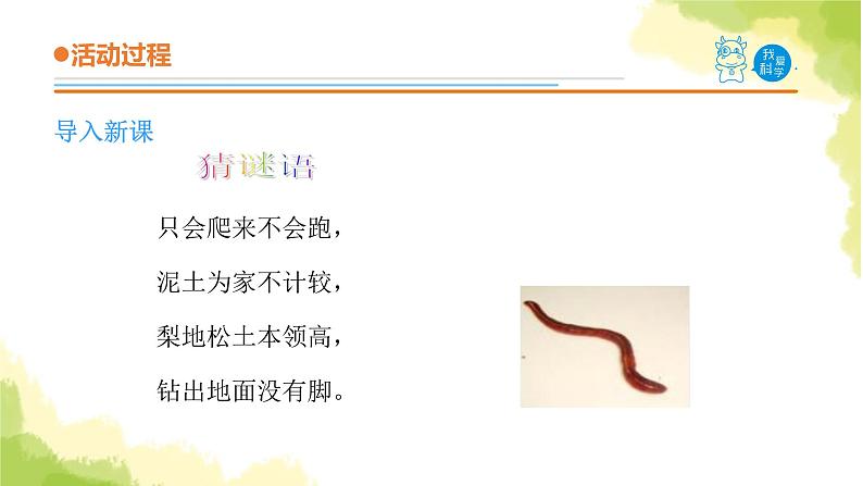20.《蚯蚓找家》课件 青岛版(六三制)小学科学六上第2页