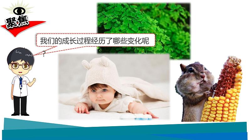 教科版科学 六下 4.6《生命体中的化学变化》(课件+教学设计+素材)02