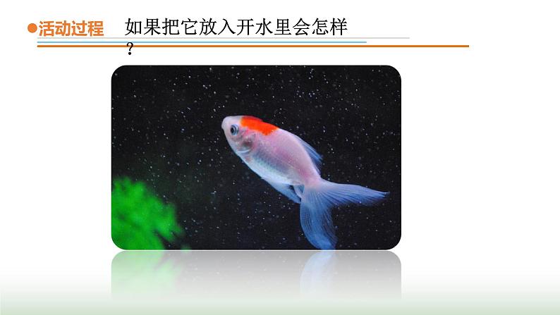 6.《热对流》课件 青岛版(五四制)小学科学四下第2页