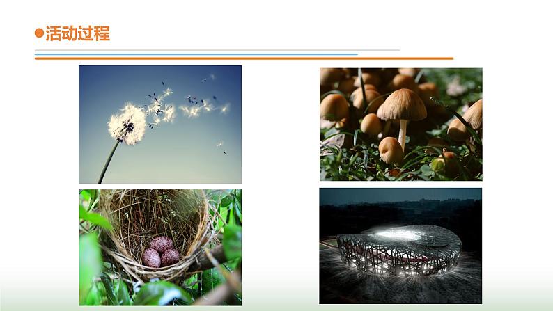 23.《生物的启示》课件 青岛版(五四制)小学科学四下第3页