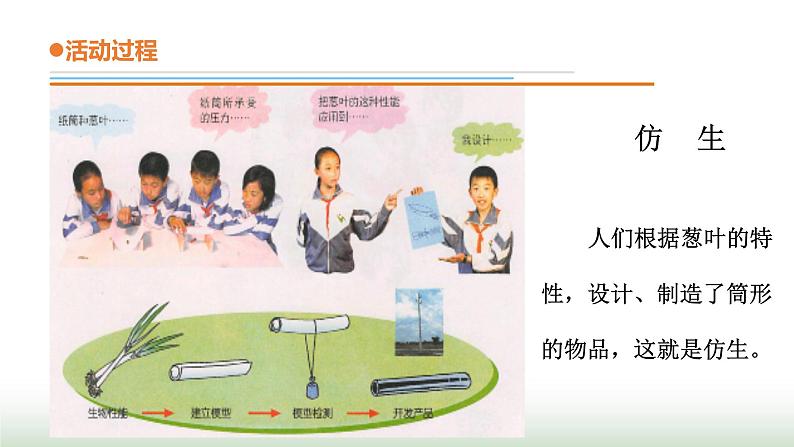 23.《生物的启示》课件 青岛版(五四制)小学科学四下第6页