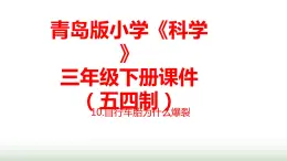 10.《自行车胎为什么爆裂》课件 青岛版(五四制)小学科学三下